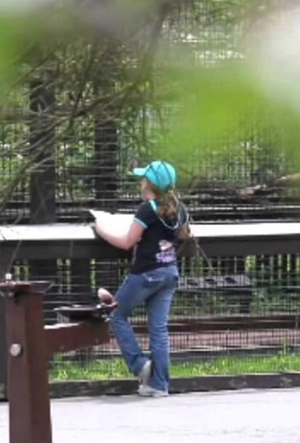 Zoo School