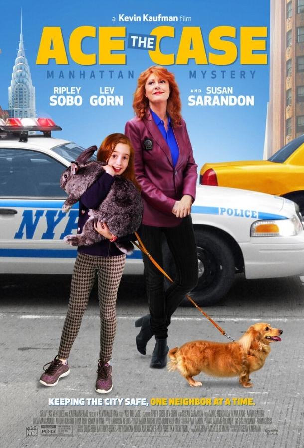 Ace the Case (2016) 