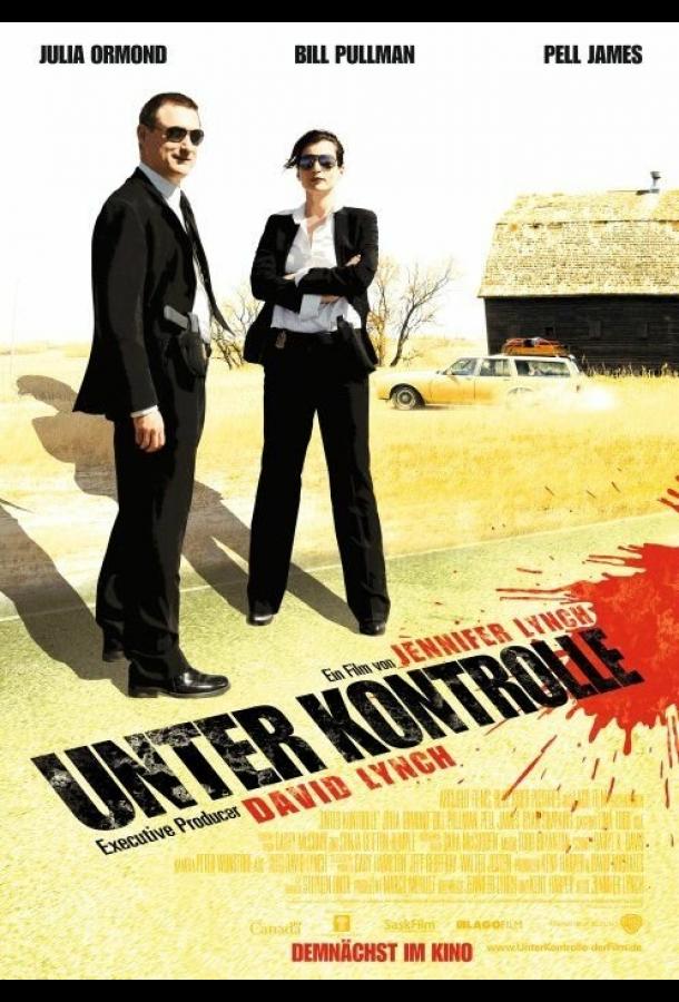 Наблюдение (2008) 