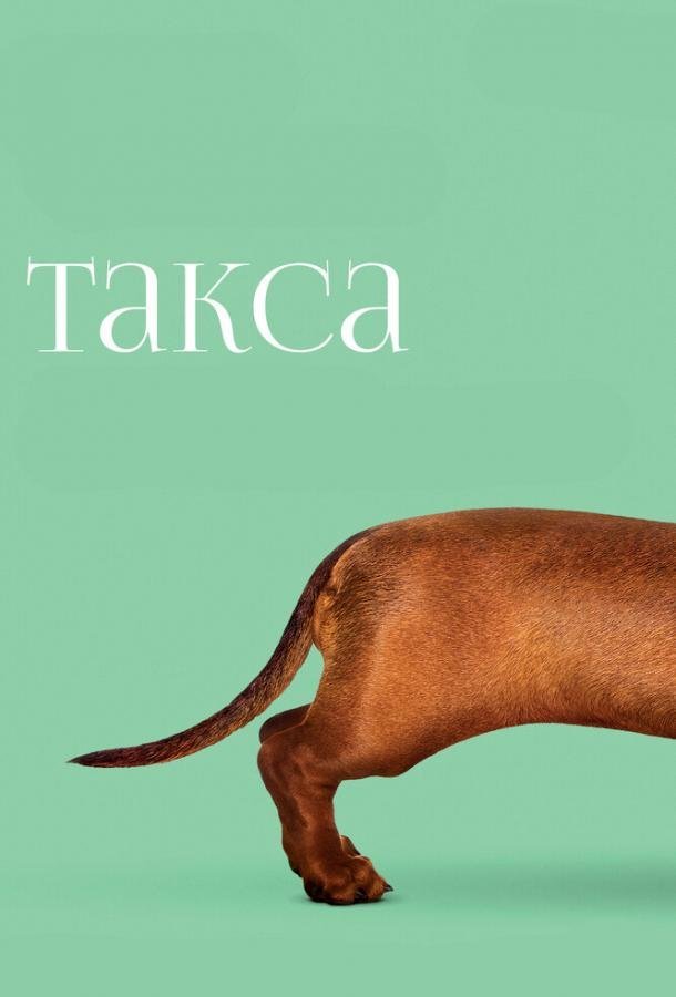 Такса (2016) 