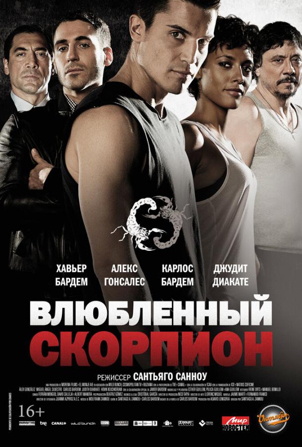 Влюбленный скорпион (2013) 