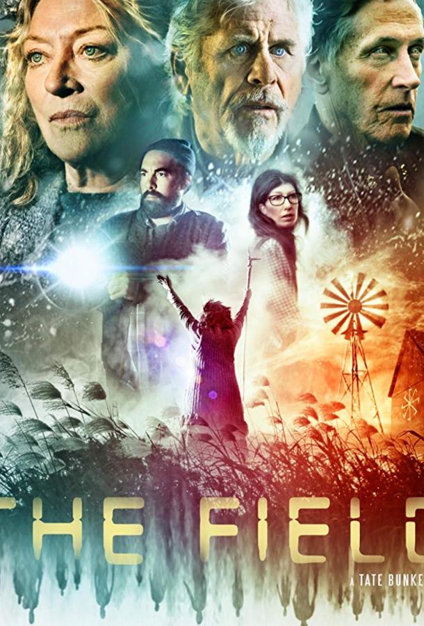 Поле (2019) 