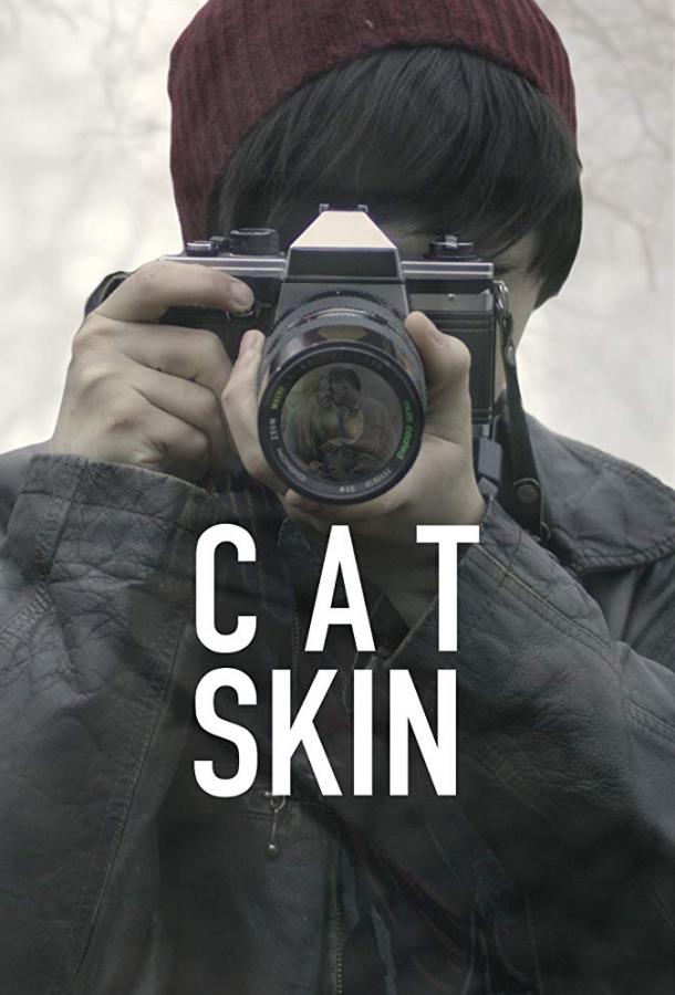 Шкура кота (2017) 