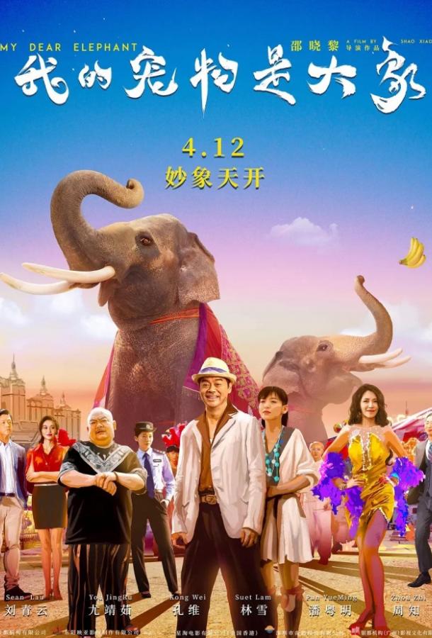 Дорогие мои слоны (2019) 