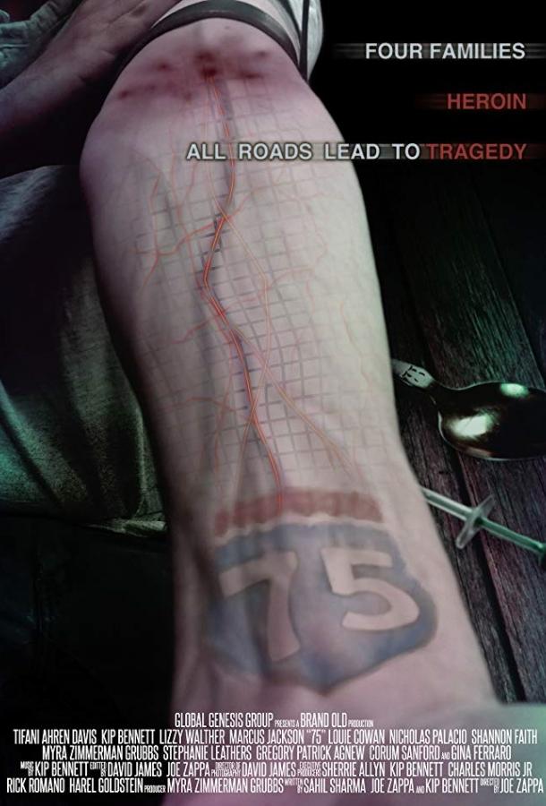 75 (2018) 