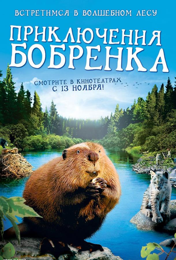 Приключения бобрёнка (2008) 