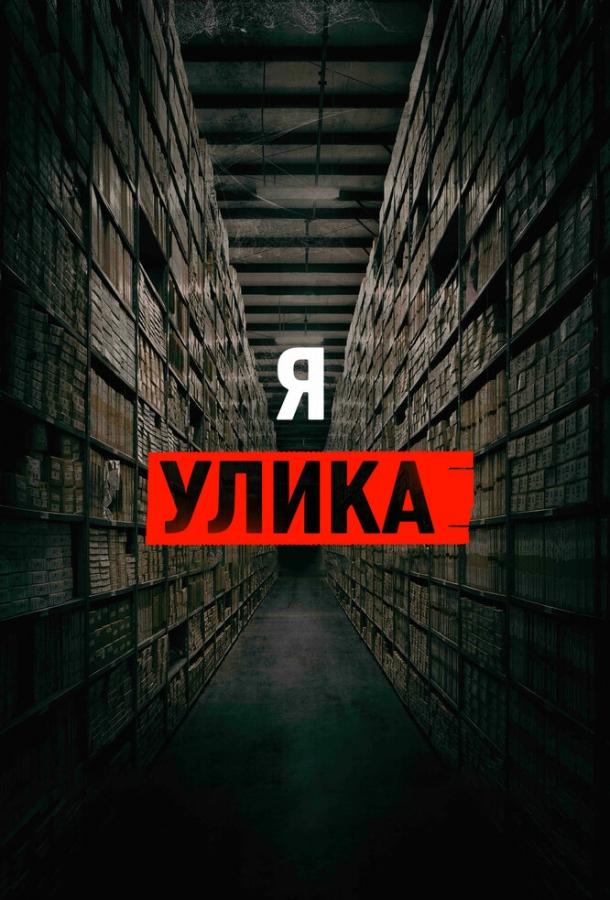 Я — улика (2017) 