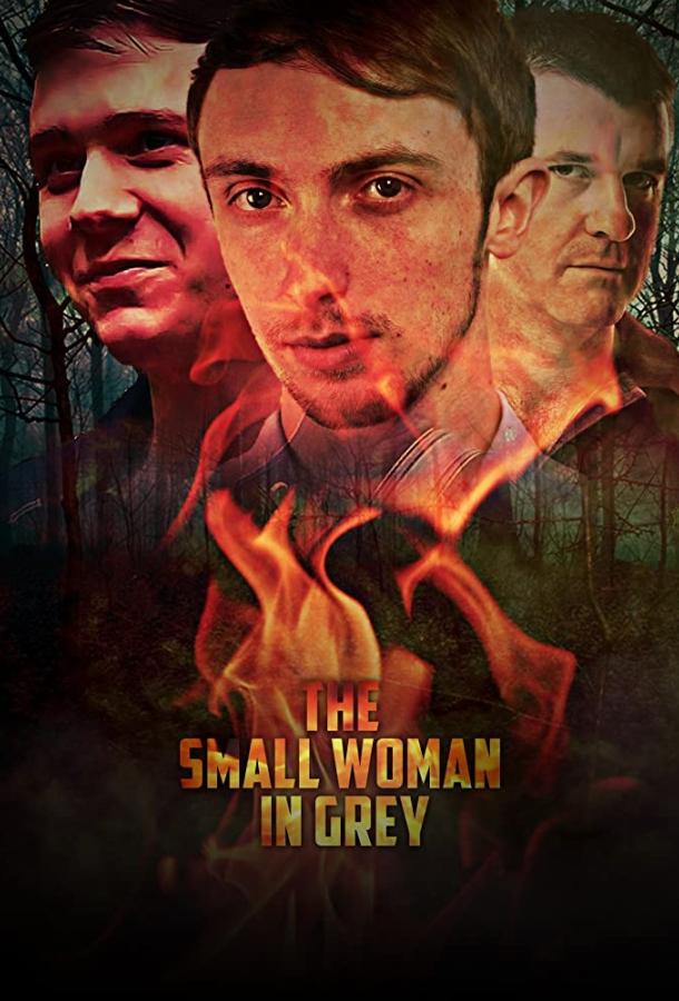 The Small Woman in Grey (2017) 