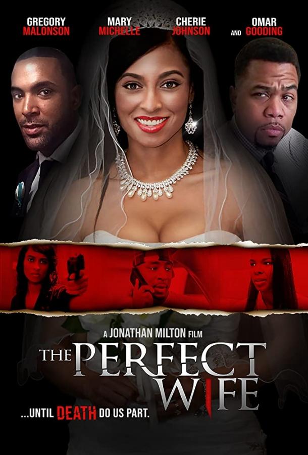 The Perfect Wife (2017) 