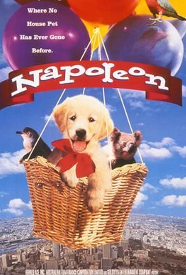 Наполеон (1995) 