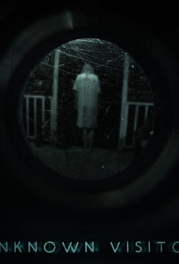 Незнакомый гость (2019) 