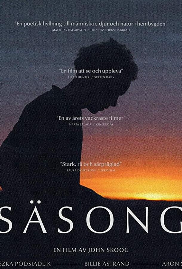 Время года (2019) 