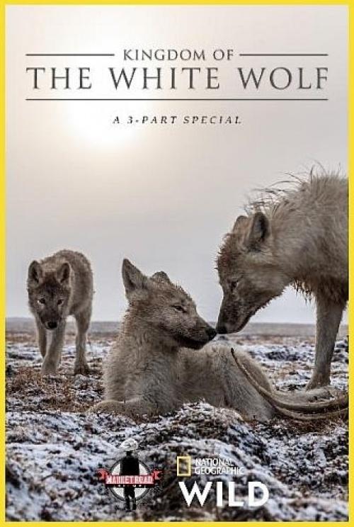 Королевство белого волка (2019) 1 сезон 3 серия