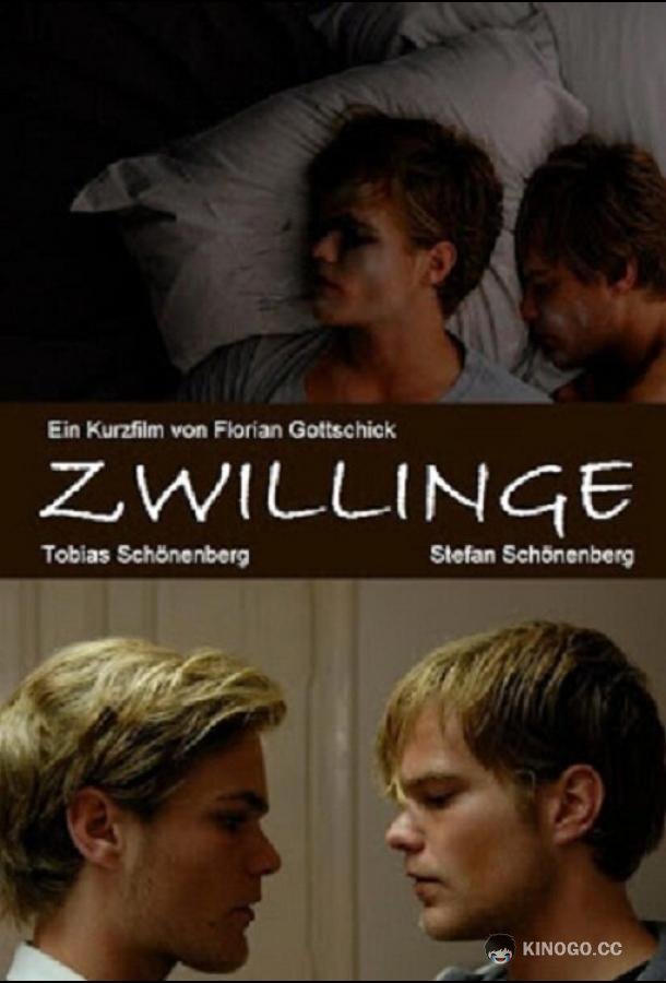 Близнецы (2010) 