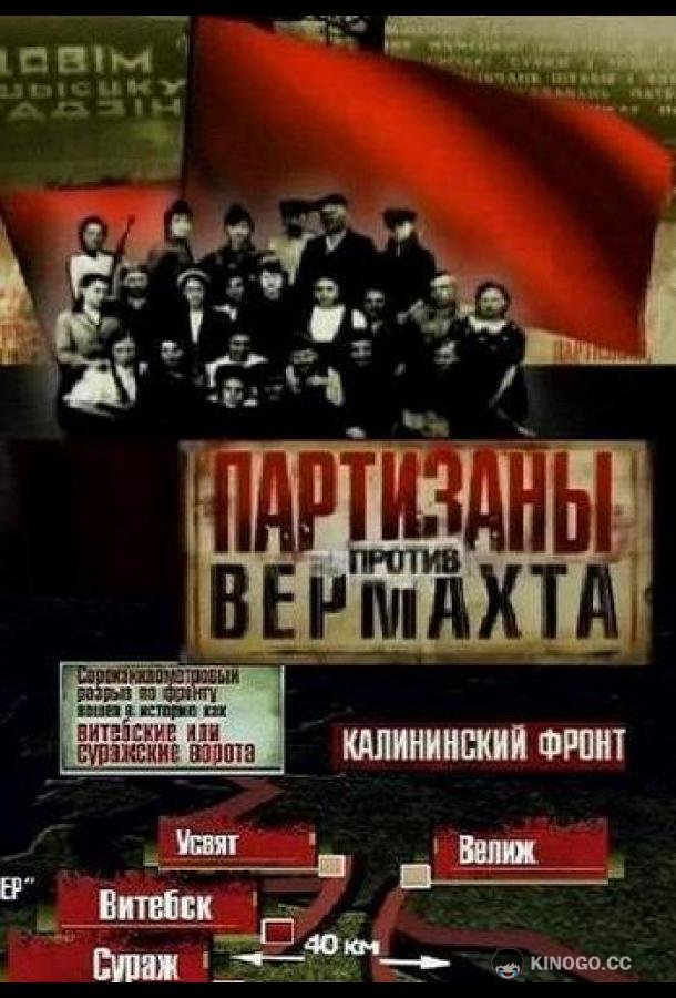 Партизаны против Вермахта