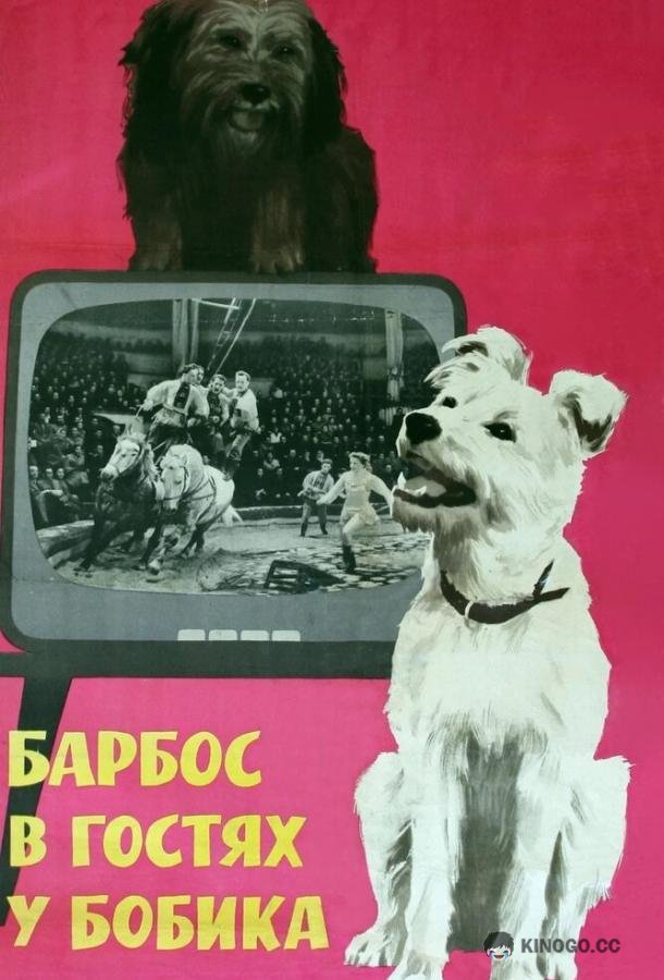 Барбос в гостях у Бобика
