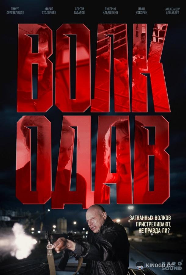 Волкодав (2025) 1 сезон 8 серия