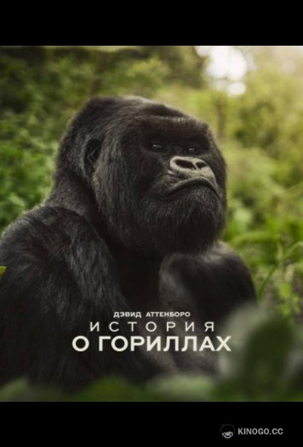 Дэвид Аттенборо. История о гориллах