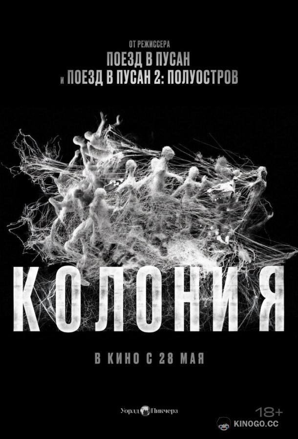 Колония