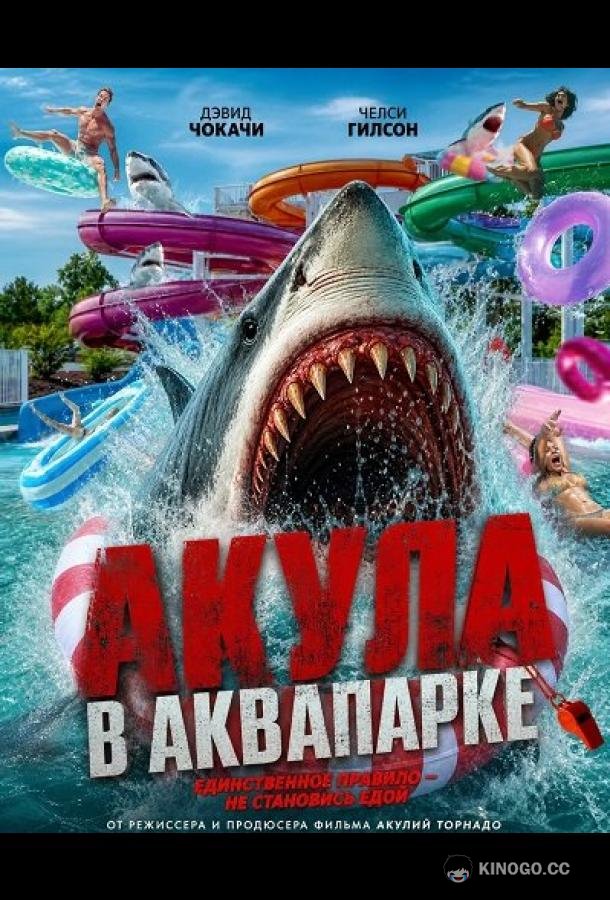 Акула в аквапарке (2025) 