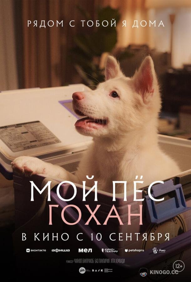 Мой пёс Гохан (2026) 