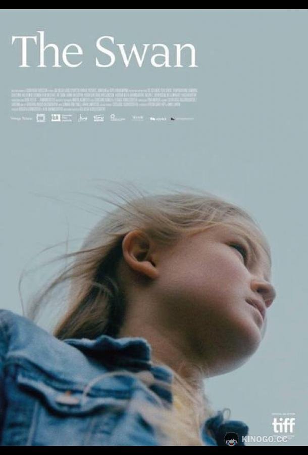 Лебедь (2017) 